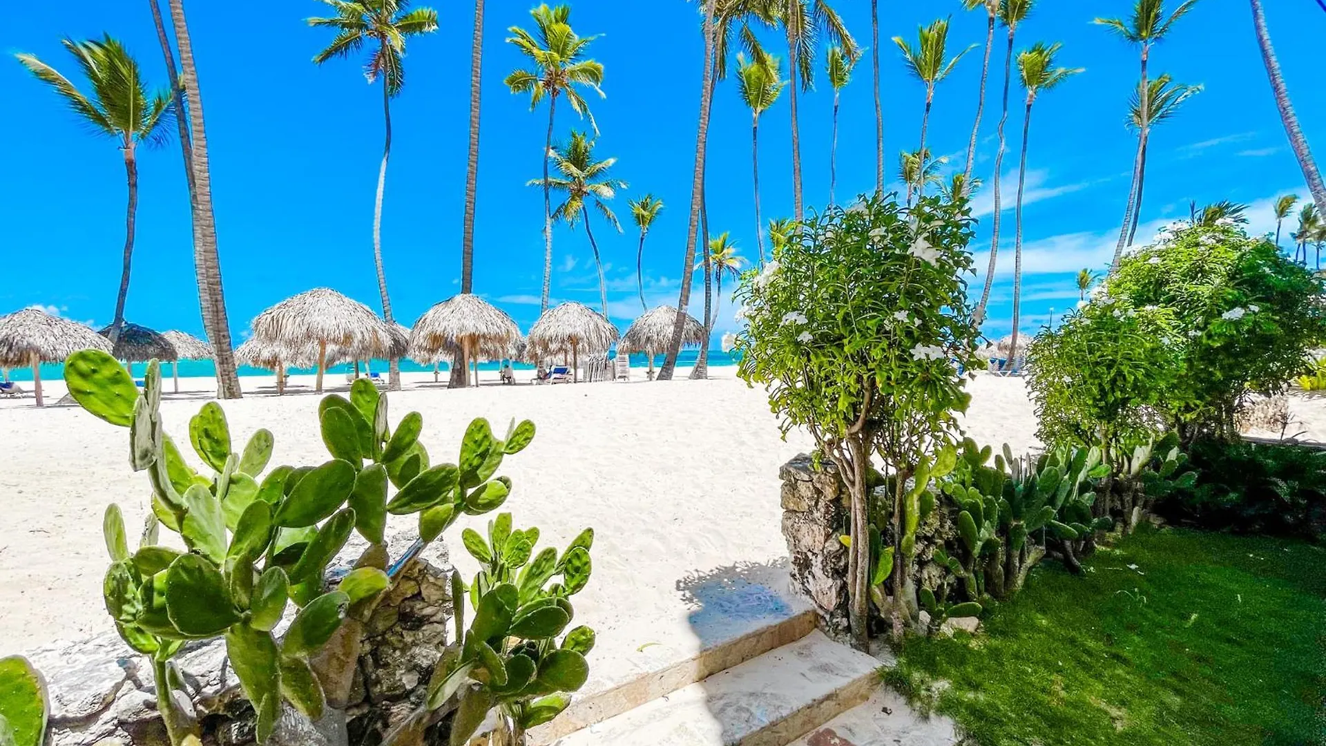 Oceanfront & Garden Vieww Villas Hotel Wifi Bbq Parking Los Corales Beach Club & Spa Πούντα Κάνα